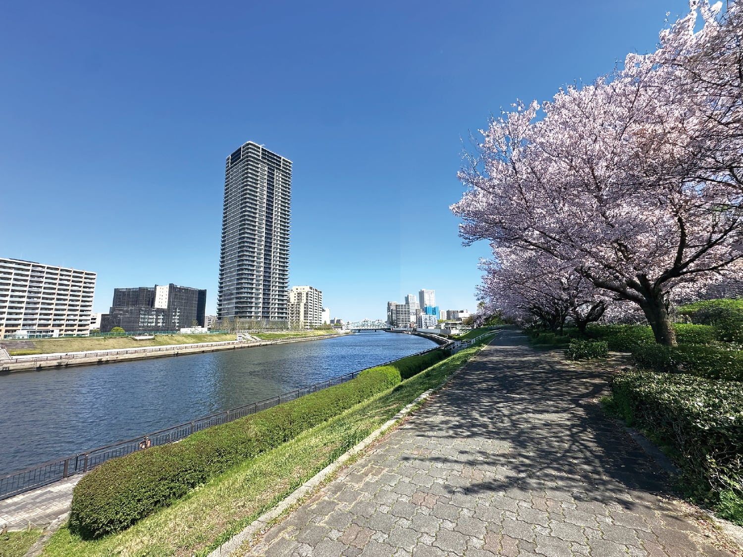 隅田川テラス
