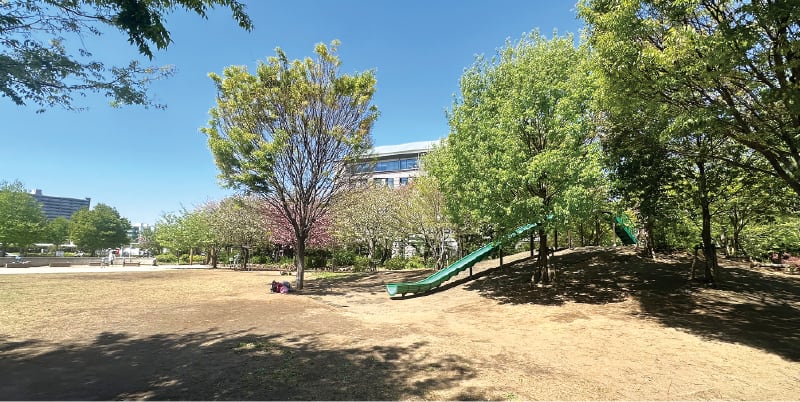 千住大橋さくら公園
