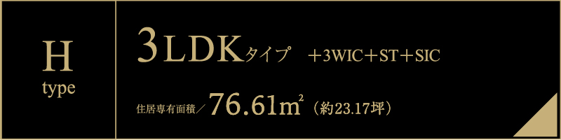 H type
