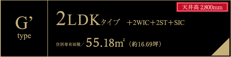 G' type