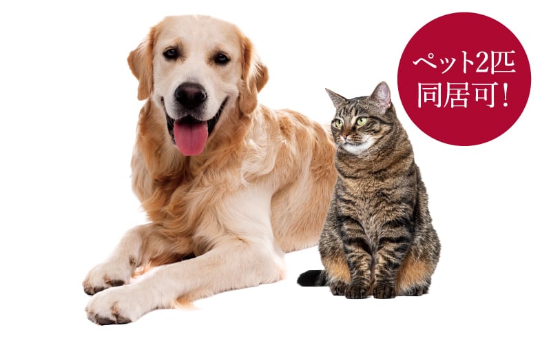 ペット足洗い場、1階住戸は大型犬同居可能