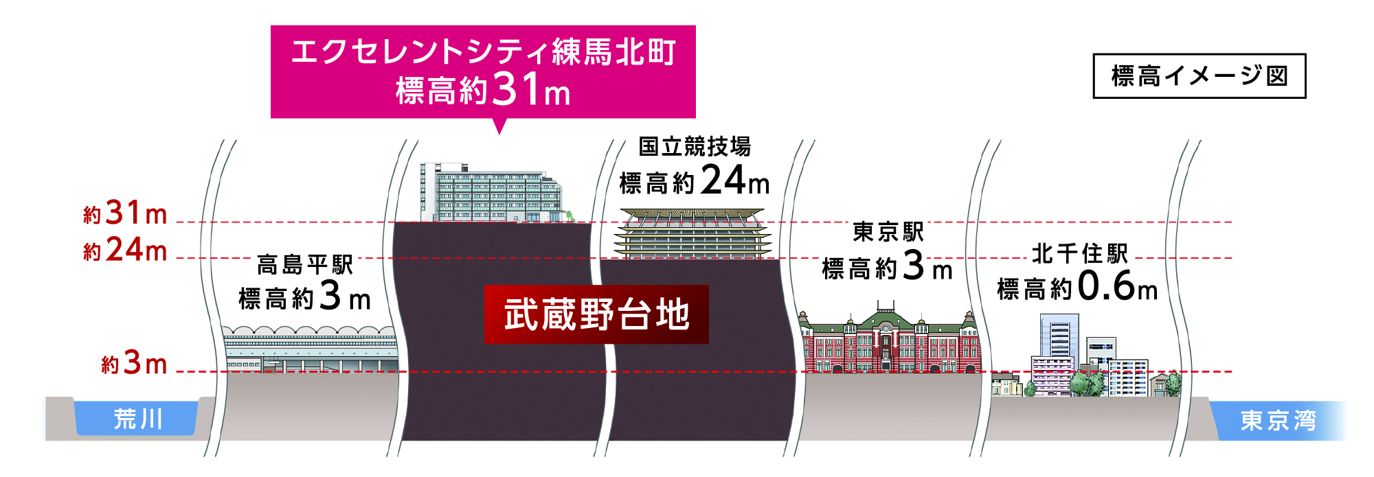 標高図・断面グラフ