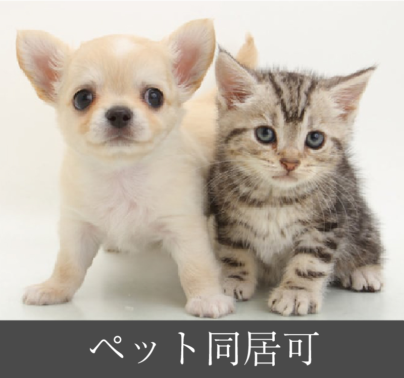 ペット同許可
