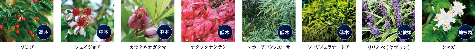 豊富な植栽計画