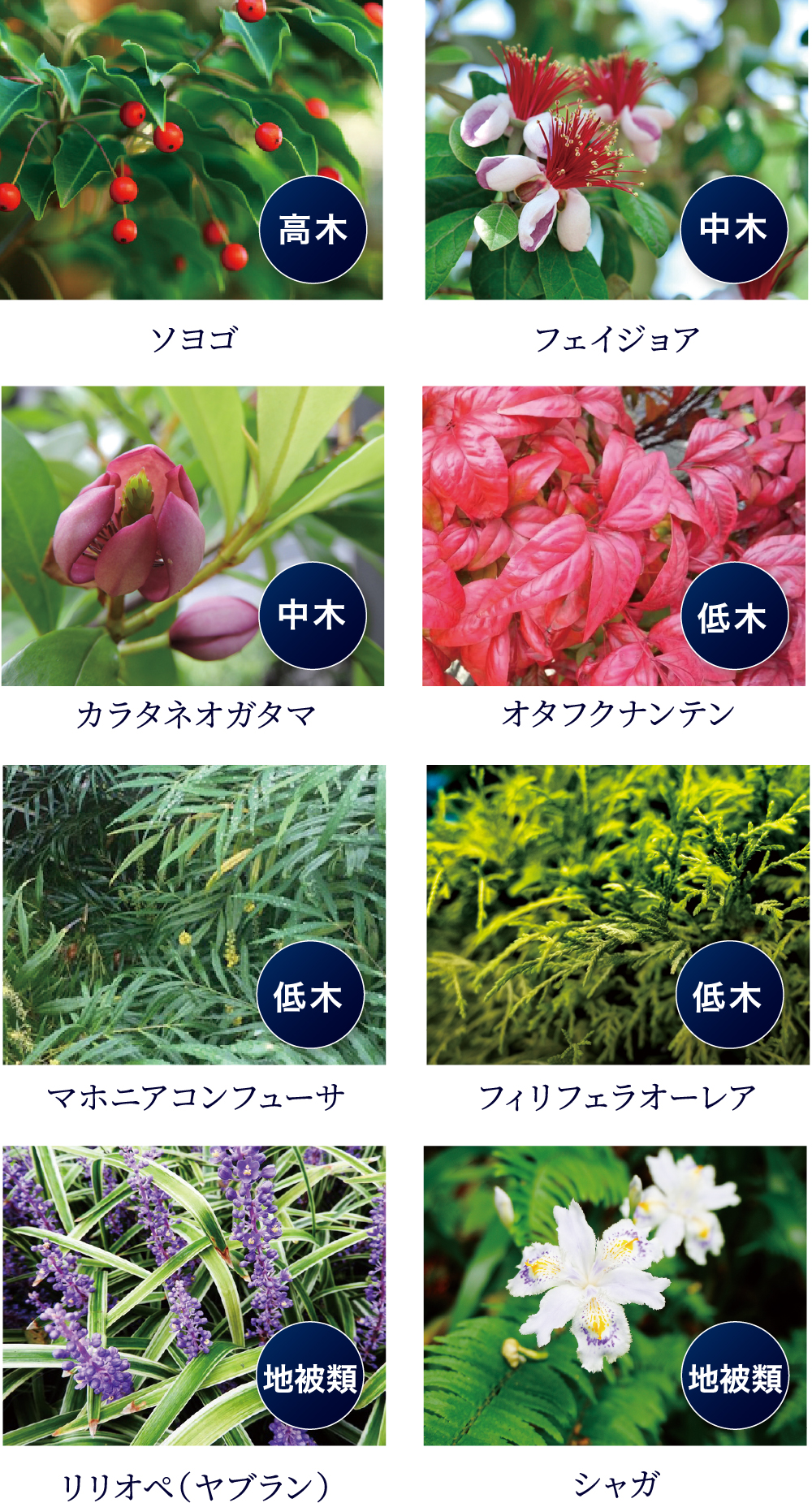 豊富な植栽計画