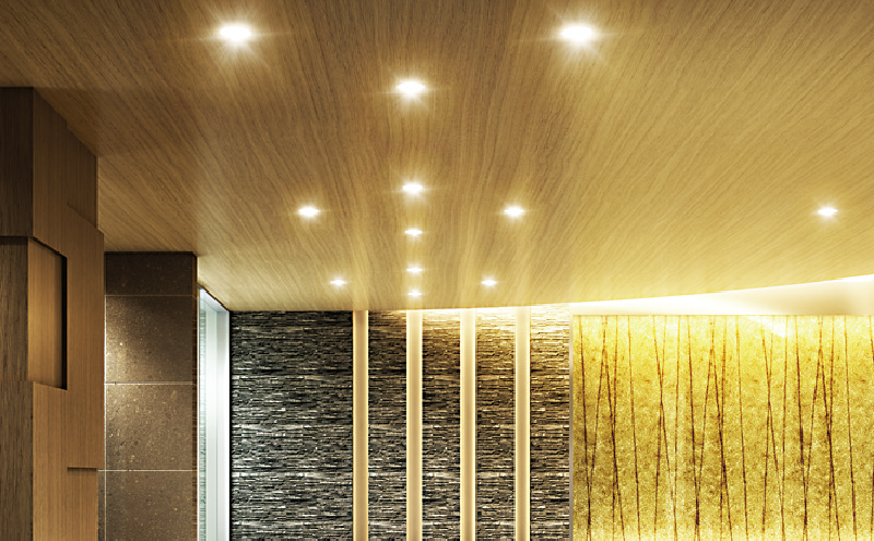 共用部高効率照明 （LEDダウンライト）