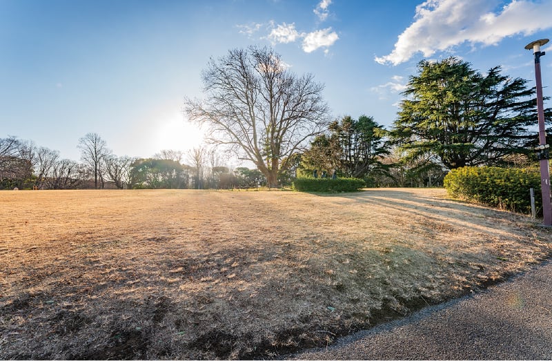 レクリエーションゾーン