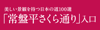 美しい景観を持つ日本の道100選「常盤平さくら通り」入口