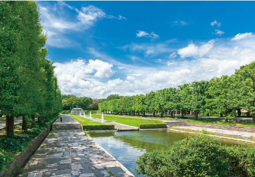 昭和記念公園