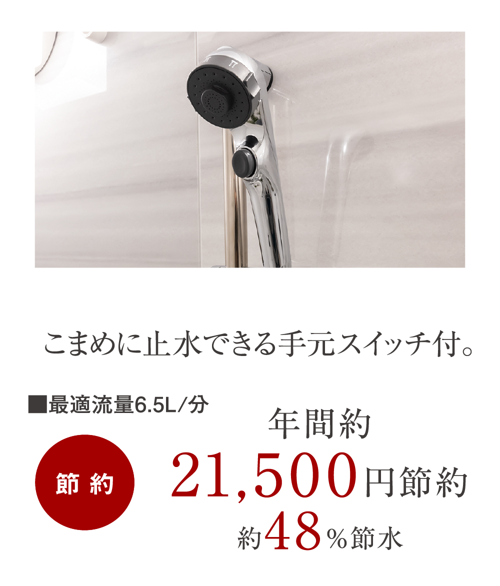 スイッチ付エコフルシャワー