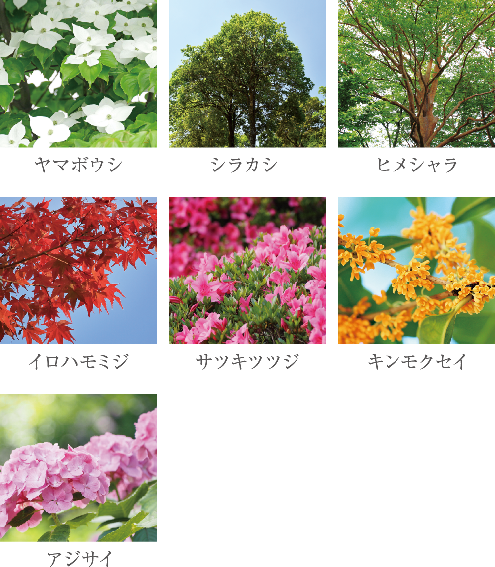 植栽