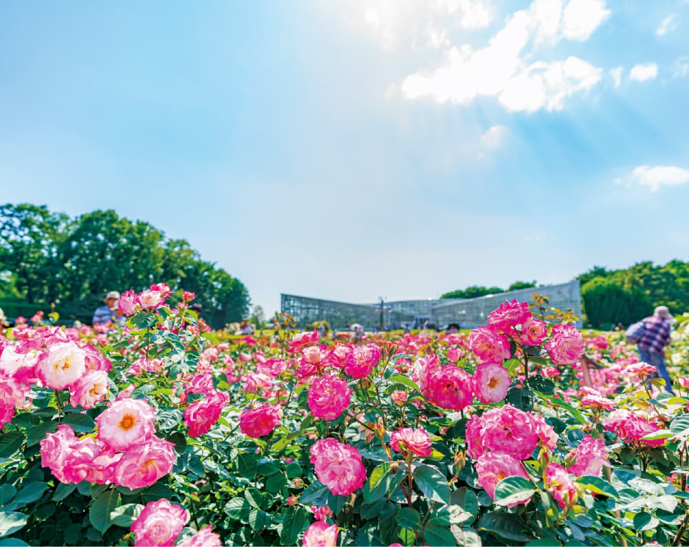 神代植物公園