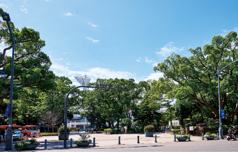 横浜公園